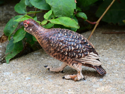 Austrian Vienna Cold Painted Bronze Injured Game Bird2