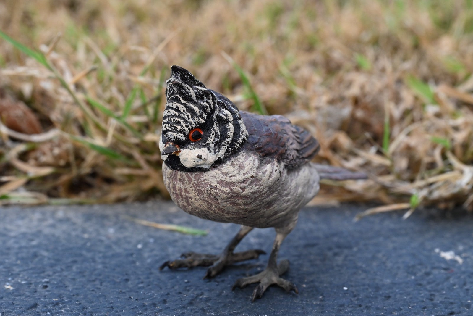 Gorgeous Austrian Vienna Cold Painted Bronze Figure of Black-crested Titmouse5