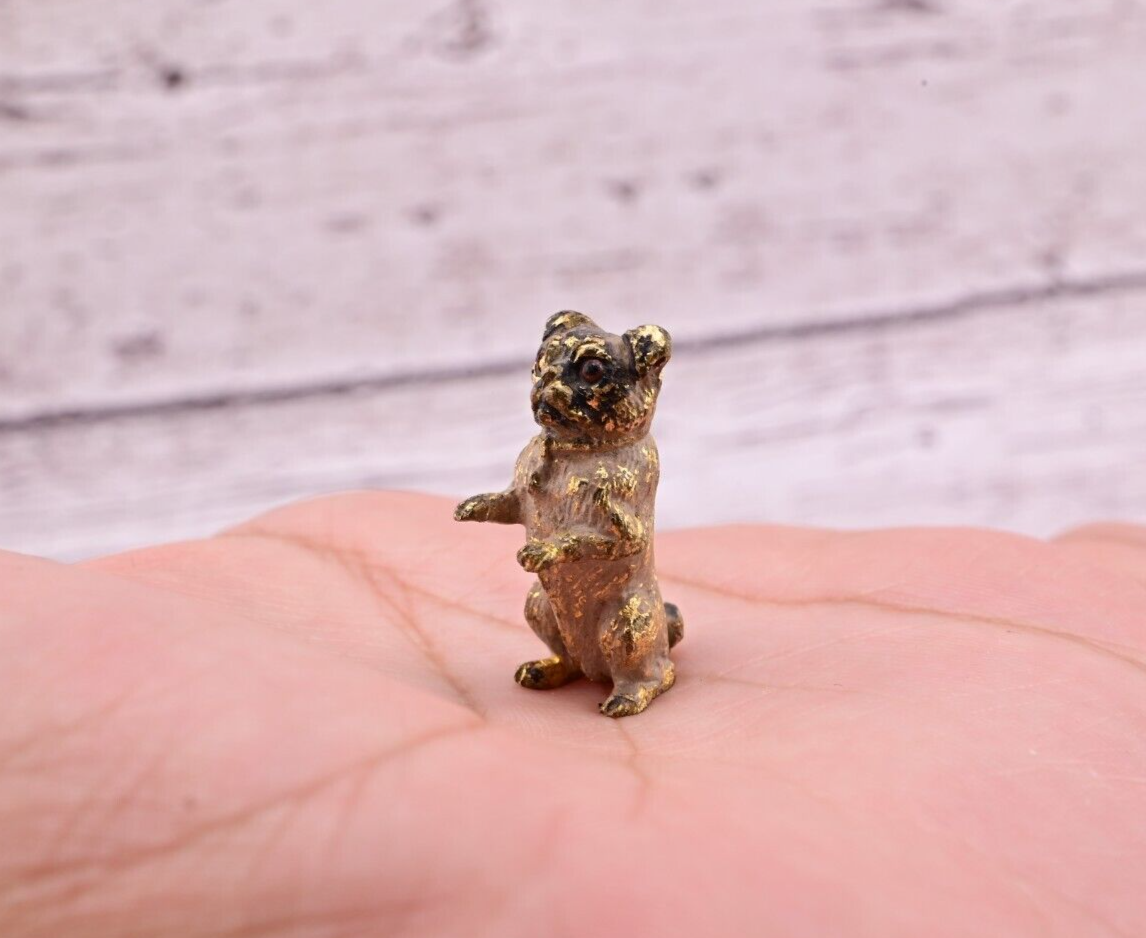 Amazing Antique Austrian Vienna Cold Painted Bronze Figure of Cute Small Pug9