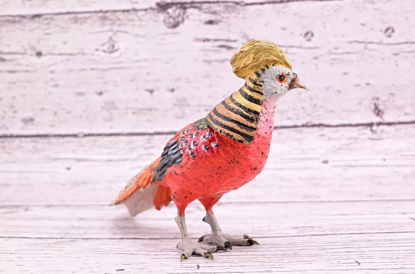 Attractive Antique Austrian Vienna Cold Painted Bronze Figure of Golden Pheasant6