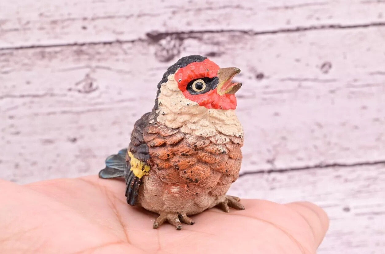 Majestic Antique Austrian Vienna Cold Painted Bronze Figure of Golden Finch11