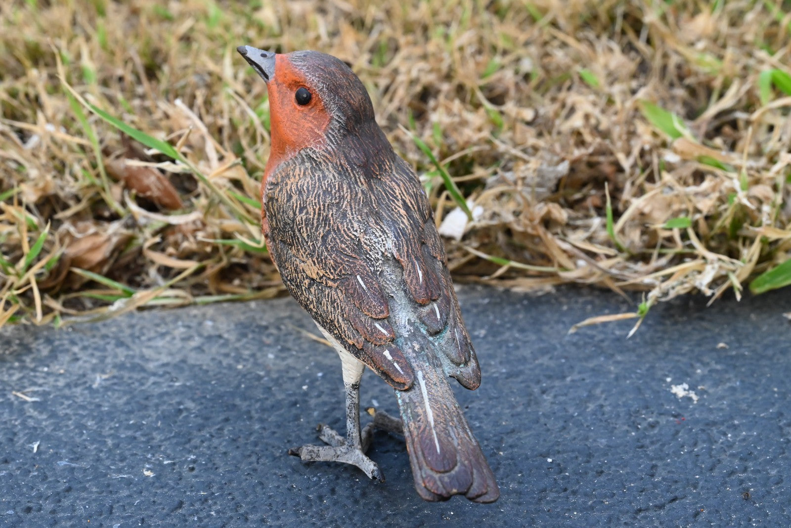 Lovely Austrian Vienna Cold Painted Bronze Bird Figure of European Robin5