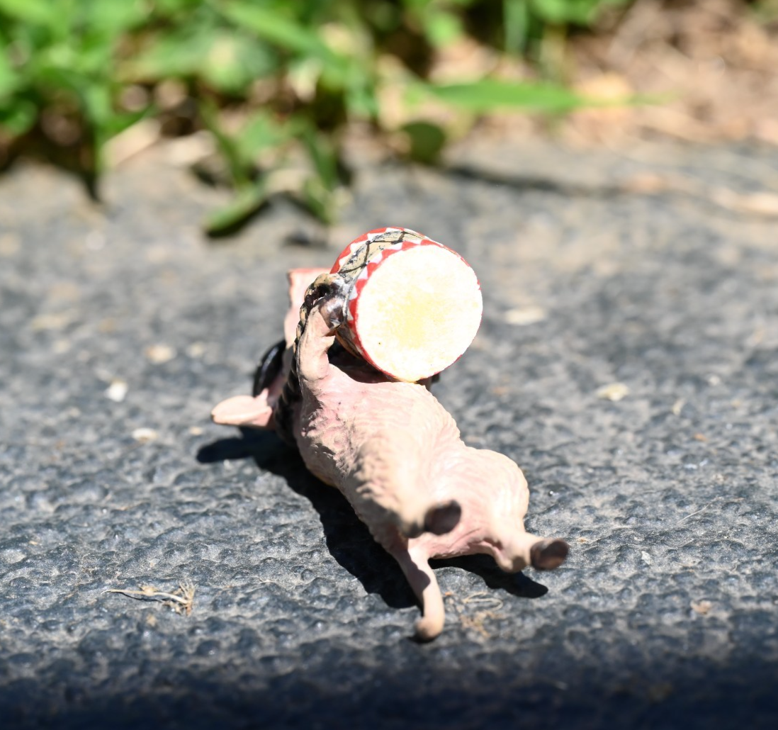 Fritz Bergmann Austrian Vienna Cold Painted Bronze Pig Playing the Drum7