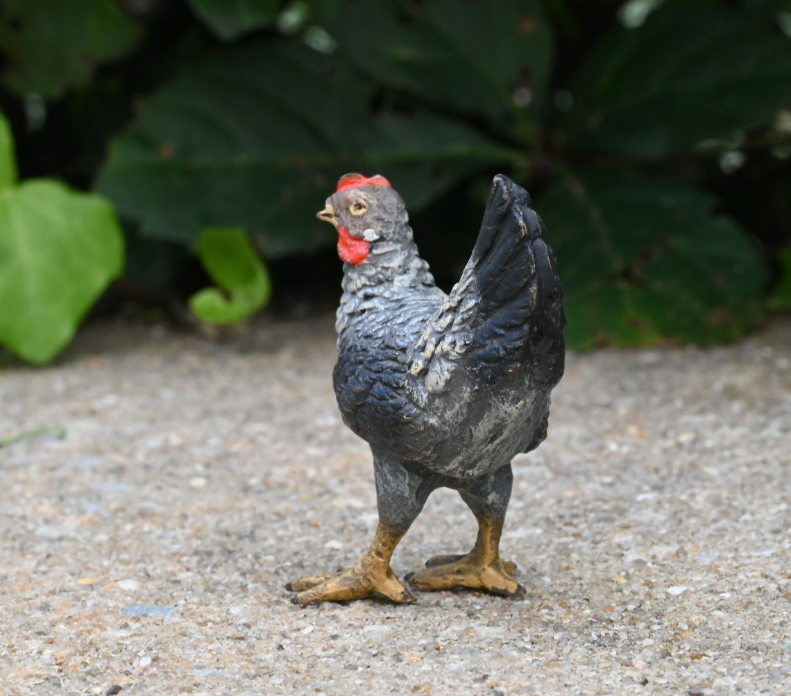 Lovely Antique Austrian Vienna Cold Painted Bronze Figure of Gray Hen / Chicken4