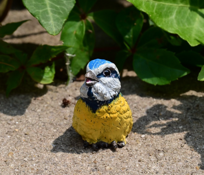 Lovely Austrian Vienna Cold Painted Bronze Figure of Blue & Yellow Tit Songbird4