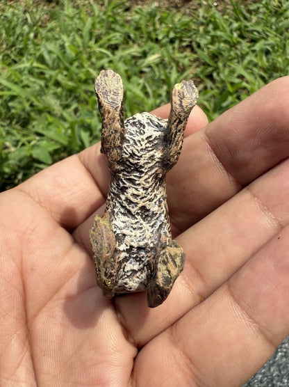 Life Like Antique Austrian Vienna Cold Painted Bronze of Brown Rabbit7