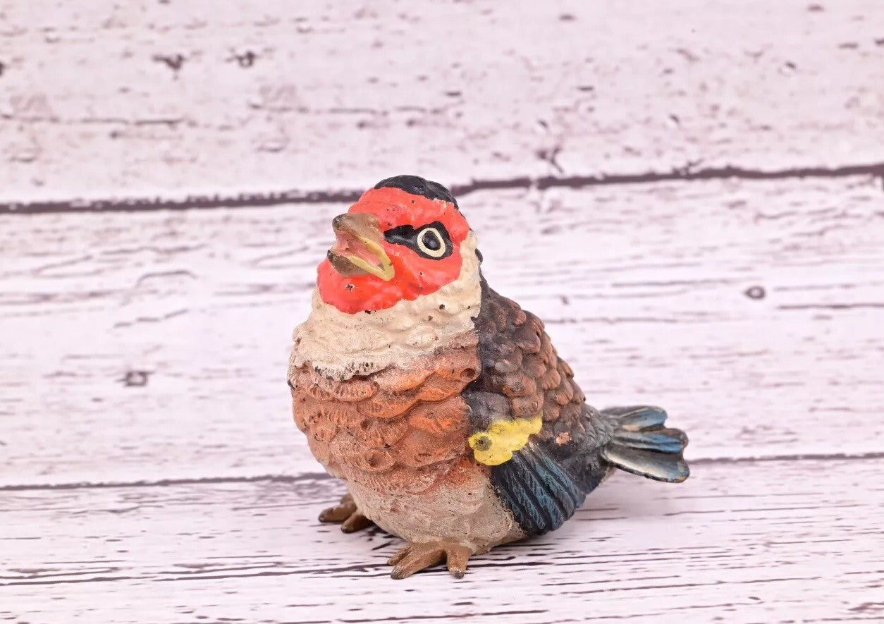 Majestic Antique Austrian Vienna Cold Painted Bronze Figure of Golden Finch0