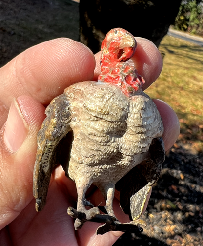 Beautiful  Antique Austrian Vienna Cold Painted Bronze Figure of Turkey9
