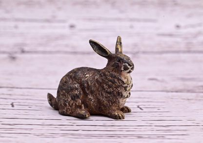 Fine Quality Antique Cold Painted Austrian Vienna Bronze Figure of Rabbit5
