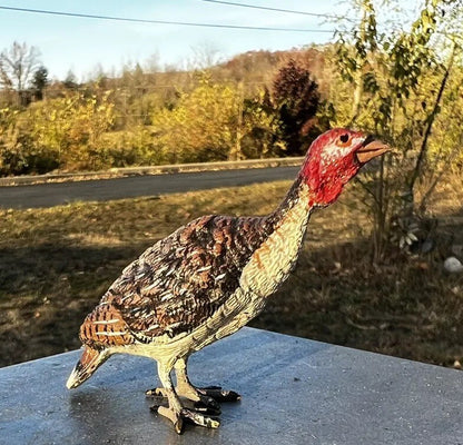 Great Detailed Antique Austrian Vienna Cold Painted Bronze Figure of Turkey1