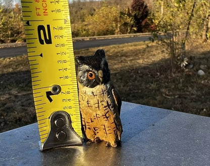 Amazing Antique Austrian Vienna Cold Painted Bronze Figure of Owl0