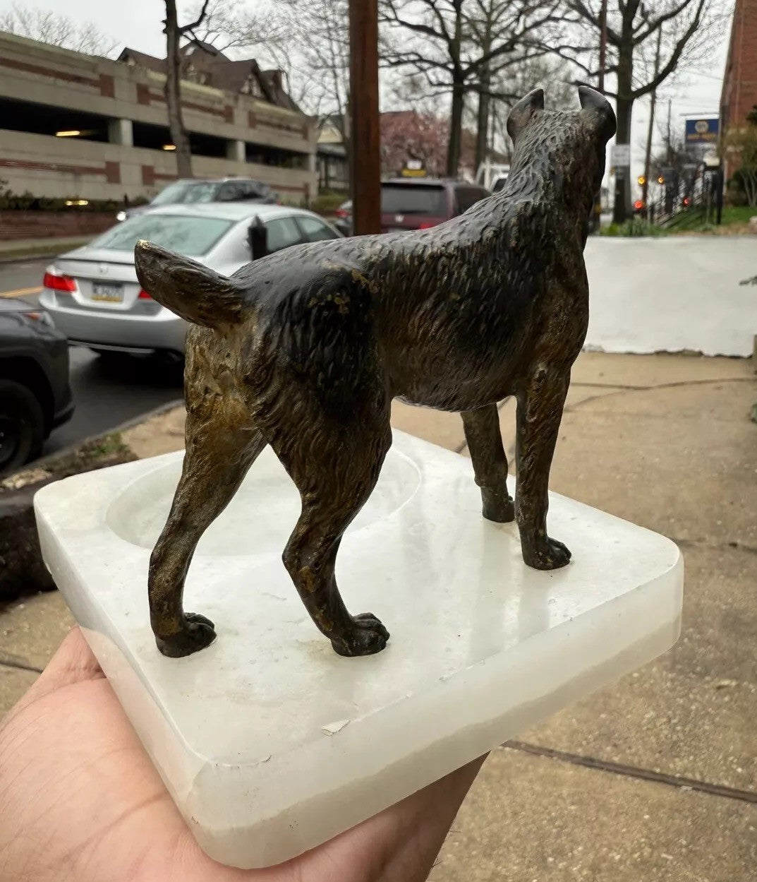Super Detailed Antique Austrian Vienna Cold Painted Bronze Figure of Terrier Dog7