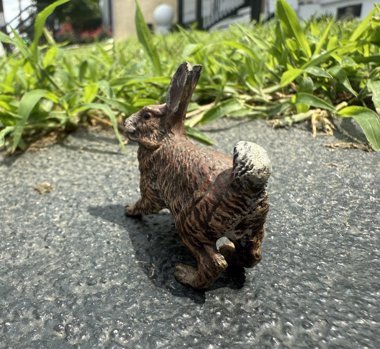 Life Like Antique Austrian Vienna Cold Painted Bronze of Brown Rabbit9