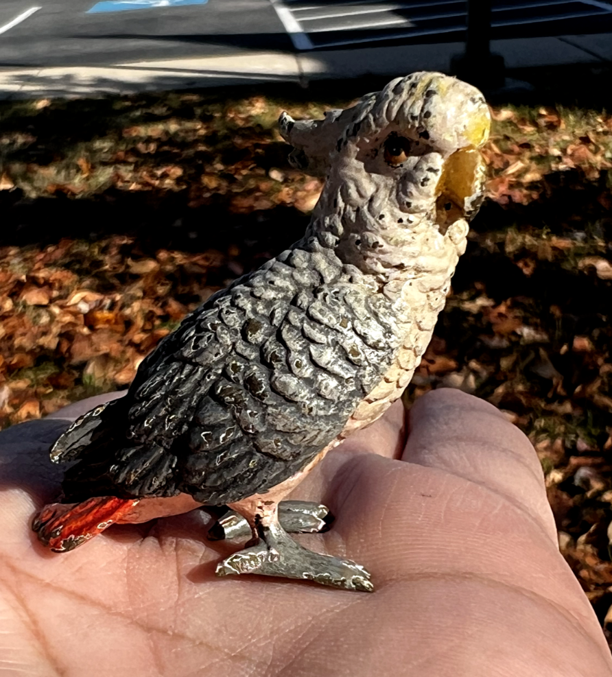 Original Antique Austrian Vienna Cold Painted Bronze Figure of Cockatoo5