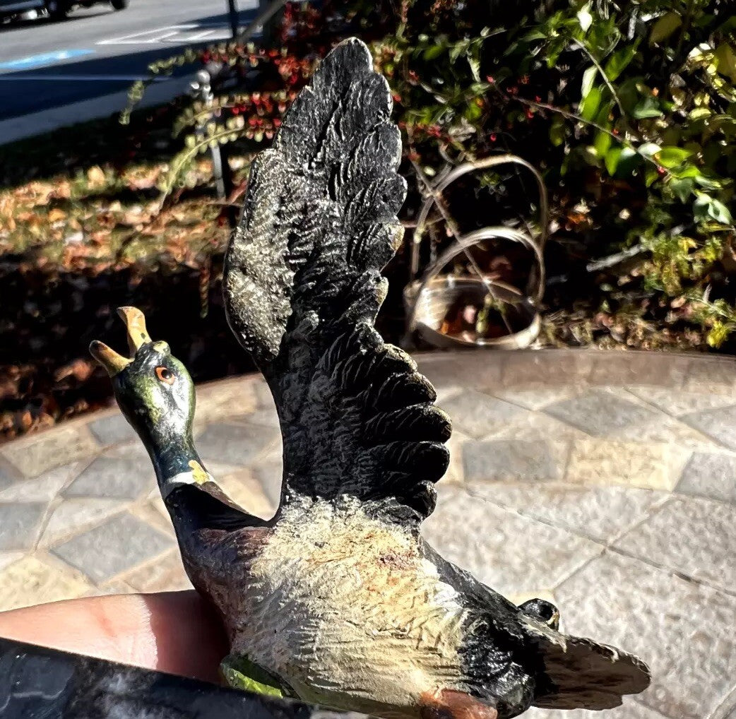 Antique Austrian Vienna Cold Painted Bronze Figure of Flying Duck6