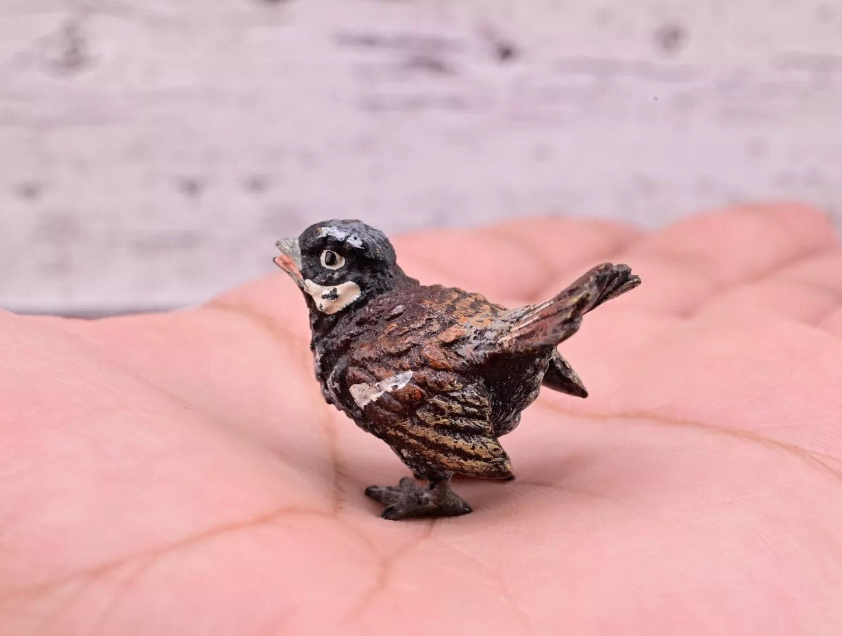 Lovely Antique Austrian Vienna Cold Painted Bronze Figure of Sparrow Bird3