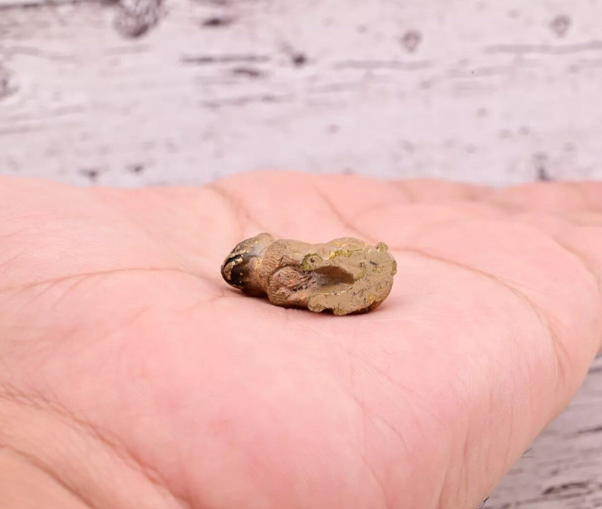 Super Tiny Antique Austrian Vienna Cold Painted Bronze Figure of Detailed Pug5