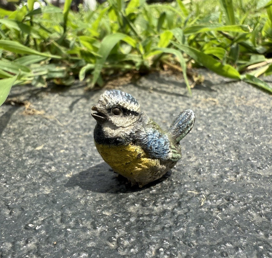 Original Antique Austrian Vienna Cold Painted Bronze of Great Tit Songbird4