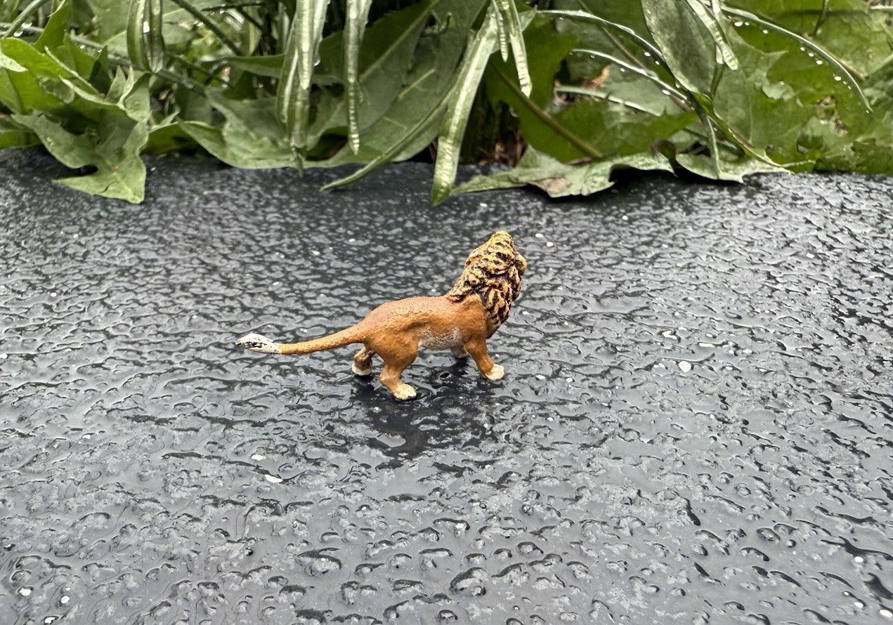 Amazing Miniature Antique Austrian Vienna Cold Painted Bronze Figure of Lion2