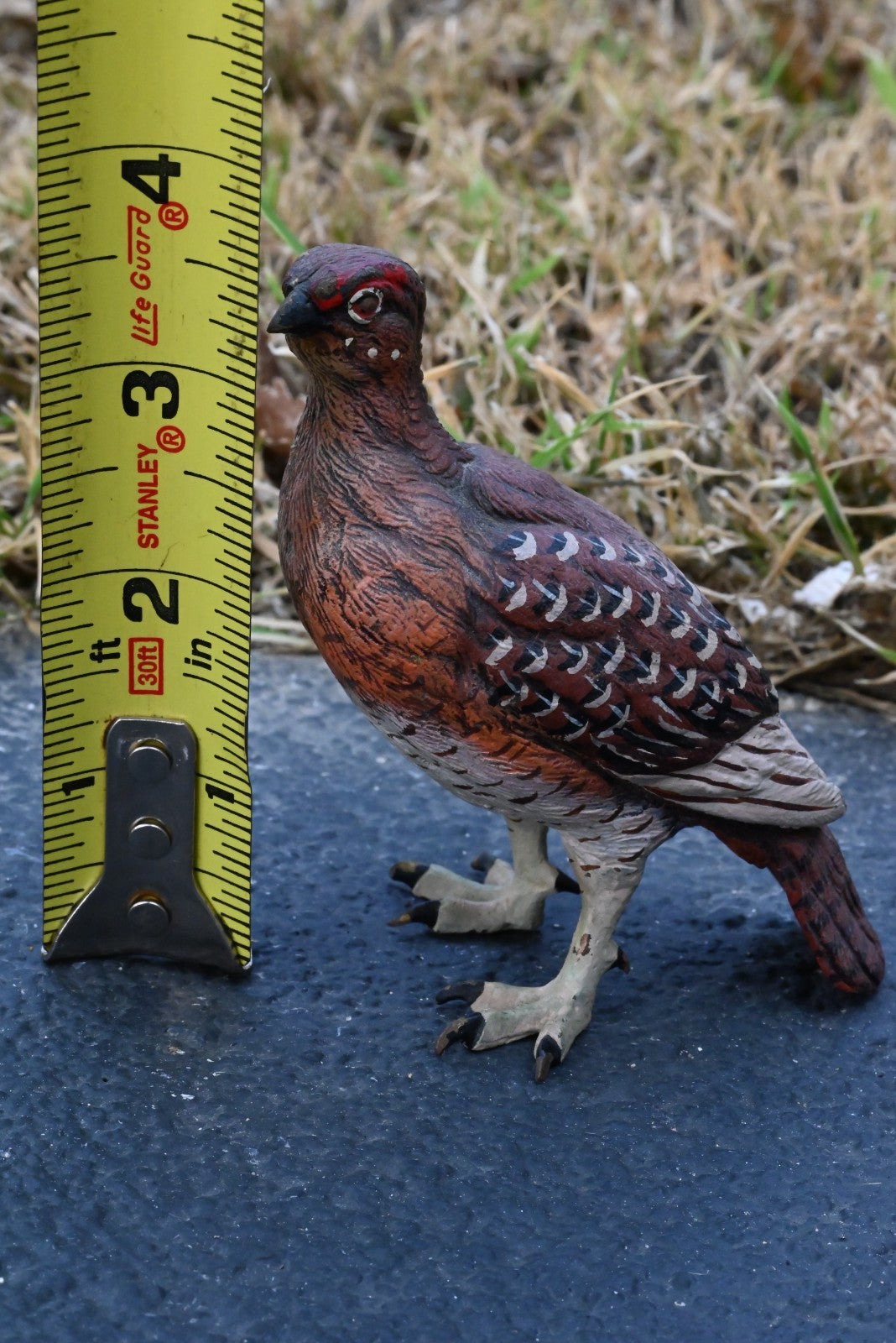 Beautiful Austrian Vienna Cold Painted Bronze Figure of  Partridge Game Bird1