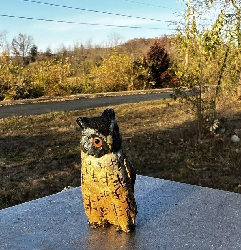 Amazing Antique Austrian Vienna Cold Painted Bronze Figure of Owl4