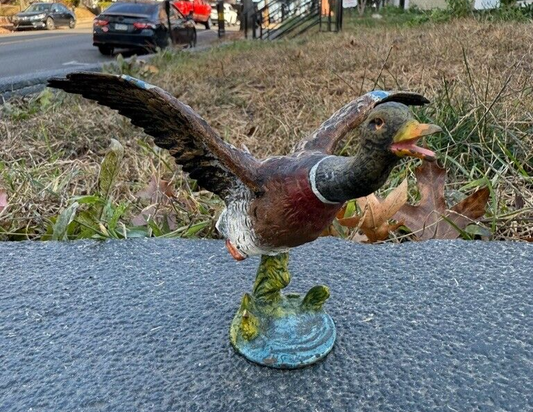 Antique Austrian Vienna Cold Painted Bronze Figure of Flying Mallard Duck0