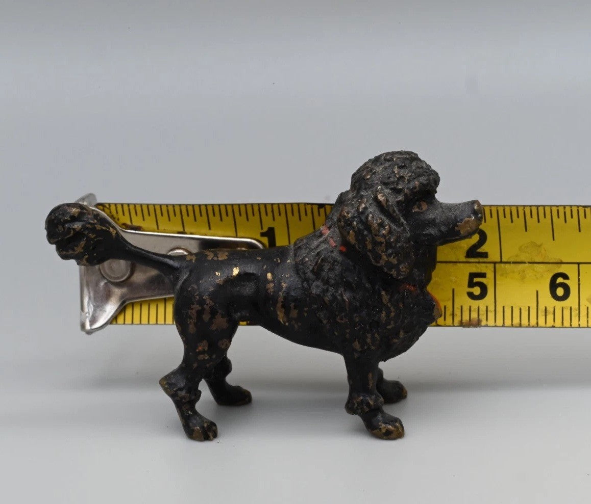 Gorgeous Antique Austrian Vienna Cold Painted Bronze Figure of Black Poodle Dog7