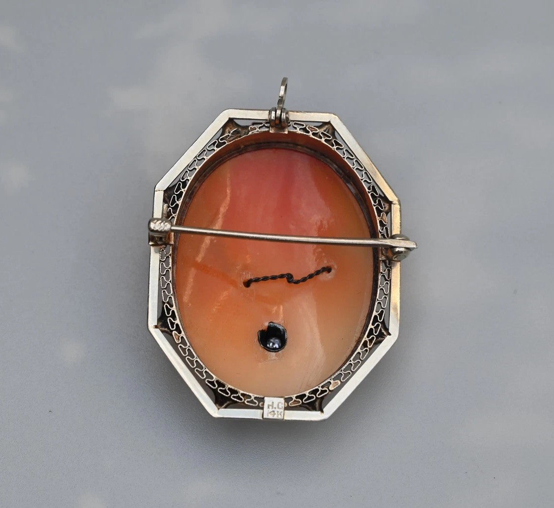 Gorgeous Carved Shell Cameo Brooch Pendant With Diamond Necklace 14K White Gold4