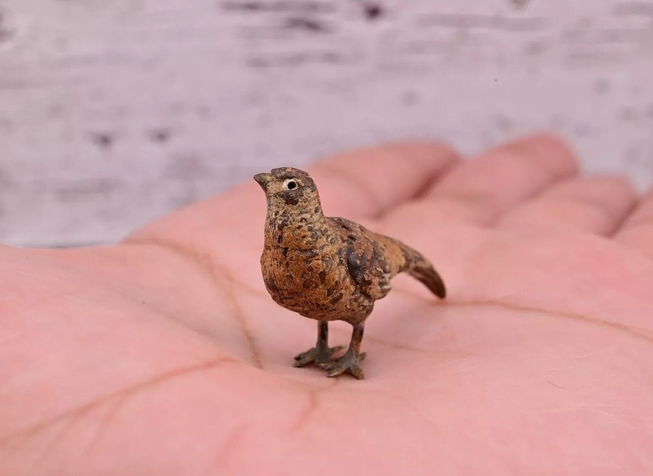 Amazing Antique Austrian Vienna Cold Painted Bronze Figure of Tiny Pheasant5