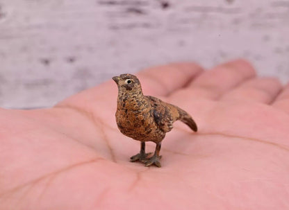 Amazing Antique Austrian Vienna Cold Painted Bronze Figure of Tiny Pheasant5