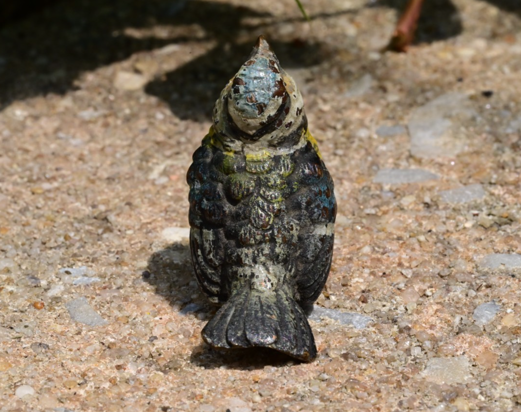 Lovely Antique 1900s Austrian Vienna Cold Painted Bronze Blue Tit Songbird 4