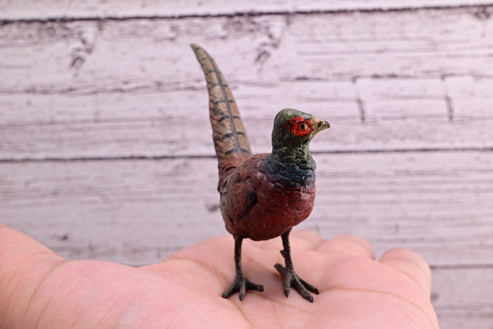 Stunning Antique Austrian Vienna Cold Painted Bronze of Ring Neck Pheasant2