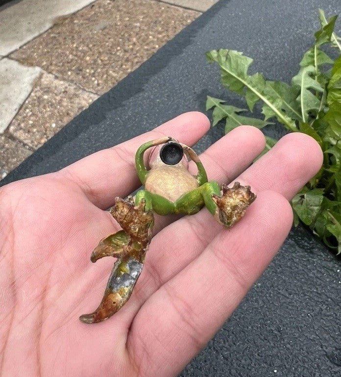 Gorgeous Vintage Cold Painted Austrian Vienna Bronze Frog Playing Clarinet8