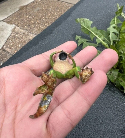 Gorgeous Vintage Cold Painted Austrian Vienna Bronze Frog Playing Clarinet8