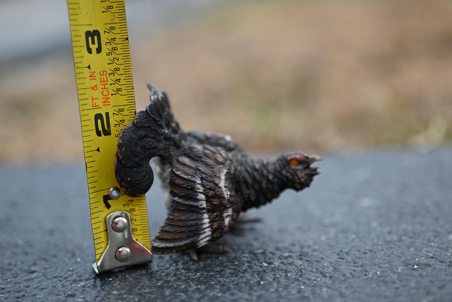Extremely Detail Antique Cold Painted Austrian Vienna Bronze of a Wild Turkey5