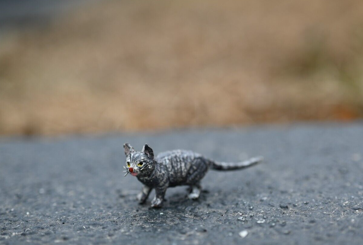 Cute Antique Austrian Vienna Cold Painted Bronze Figure of Tom Cat0
