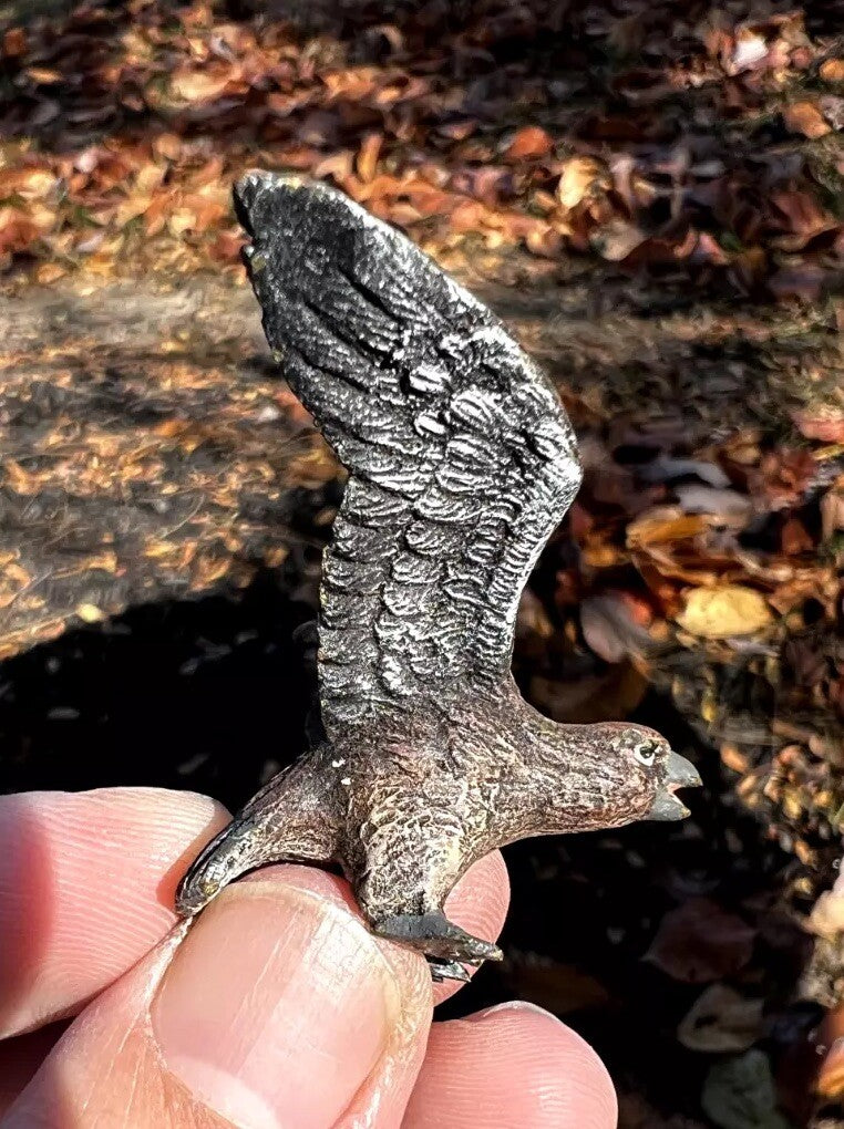 Detailed Antique Austrian Vienna Cold Painted Bronze Figure of Hawk5