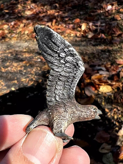 Detailed Antique Austrian Vienna Cold Painted Bronze Figure of Hawk5