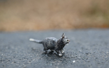 Cute Antique Austrian Vienna Cold Painted Bronze Figure of Tom Cat3