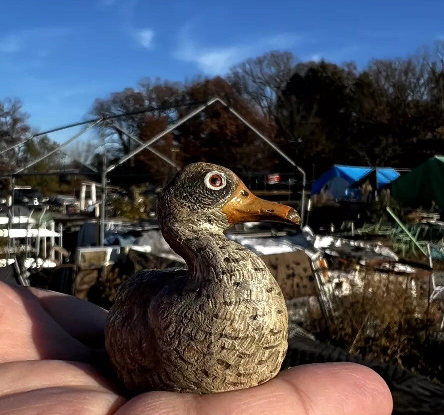Antique Austrian Vienna Cold Painted Bronze Figure of Sitting Mallard Duck5