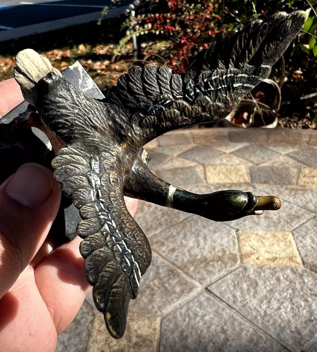 Antique Austrian Vienna Cold Painted Bronze Figure of Flying Duck5