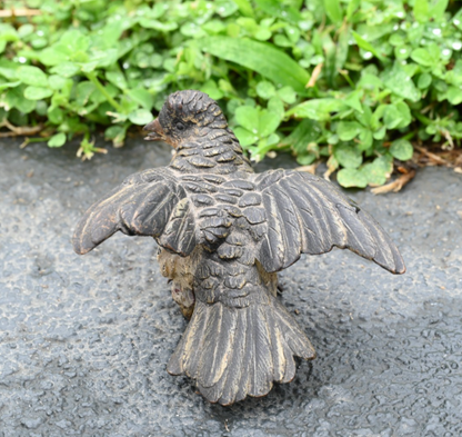 Detailed Antique Austrian Vienna Cold Painted Bronze Figure of Cuckoo Bird8