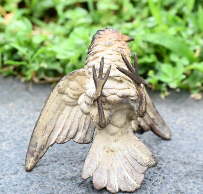 Detailed Antique Austrian Vienna Cold Painted Bronze Figure of Cuckoo Bird11