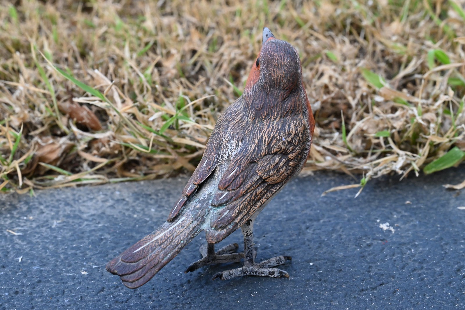 Lovely Austrian Vienna Cold Painted Bronze Bird Figure of European Robin4