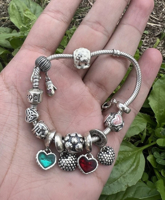Beautiful Vintage Pandora Sterling Silver 925 Charm Bracelet0