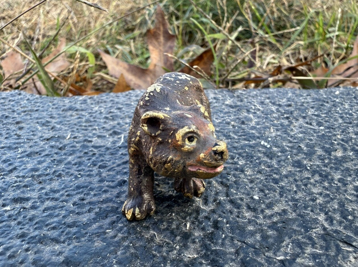 Gorgeous Antique Austrian Vienna Cold Painted Bronze Figure of Brown Bear Cub4