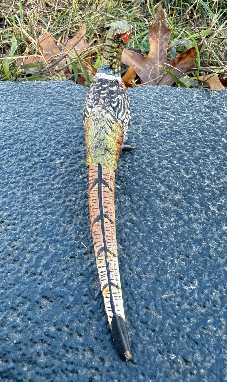 Elegant Antique Austrian Vienna Cold Painted Bronze Figure of Pheasant5