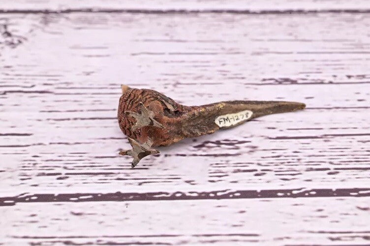 Old Antique Austrian Vienna Cold Painted Bronze Figure of Miniature Pheasant4