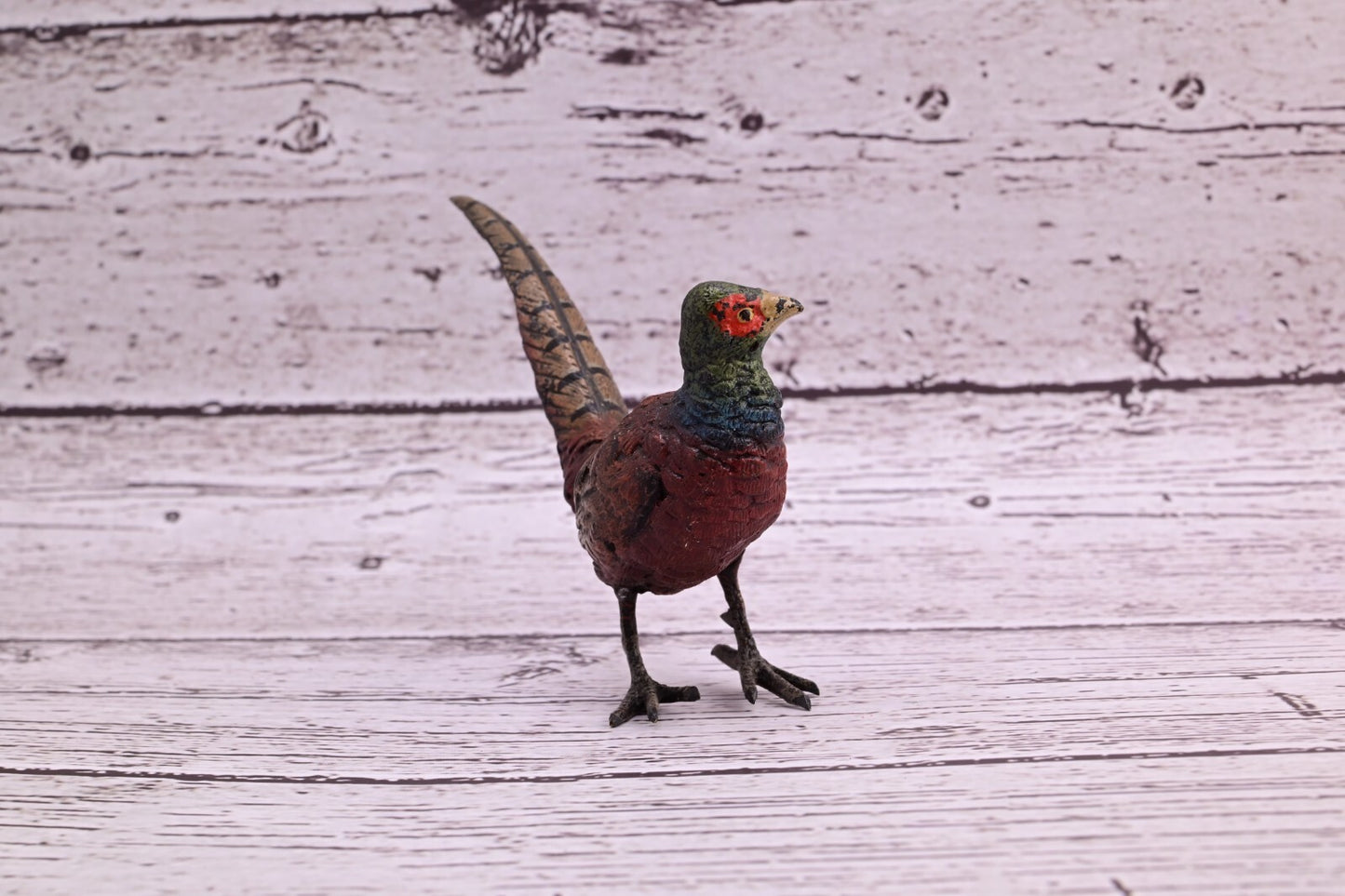 Stunning Antique Austrian Vienna Cold Painted Bronze of Ring Neck Pheasant8