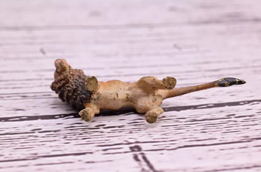 Super Tiny Antique Austrian Vienna Cold Painted Bronze Figure Standing Lion11